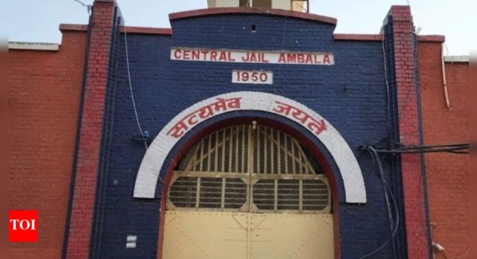 Another inmate flee from Central Jail Ambala, climb jail wall with help of electricity wire | India News - The Times of India