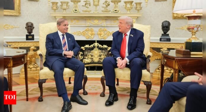 'Averted catastrophe': Pakistan PM hails Trump as ‘man of peace; all that unfolded in their meeting - The Times of India