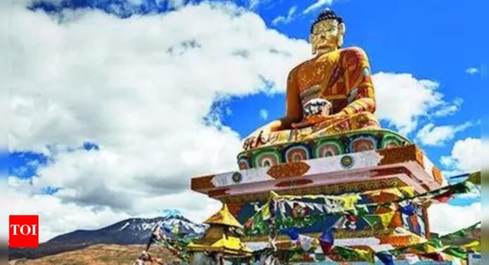 HP cold desert now on Unesco's list of biosphere reserves | India News - The Times of India