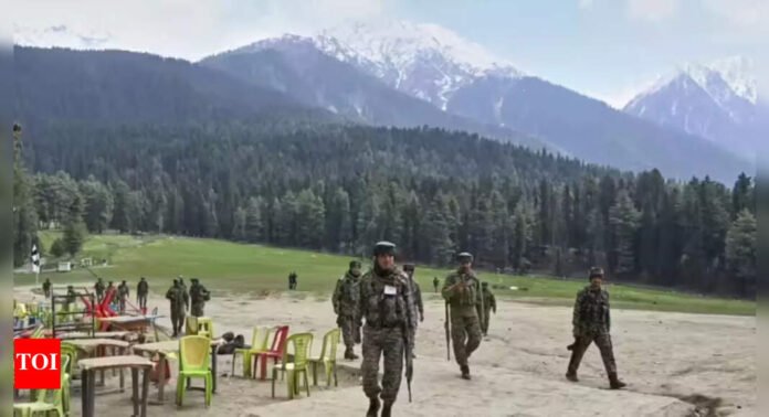 LG announces reopening of 12 tourist destinations in J&K closed after Pahlagam attack | India News - The Times of India