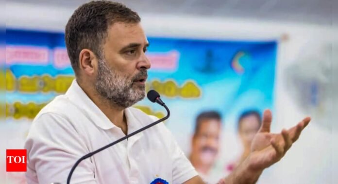 Ladakh's people, traditions under attack, says Rahul Gandhi | India News - The Times of India