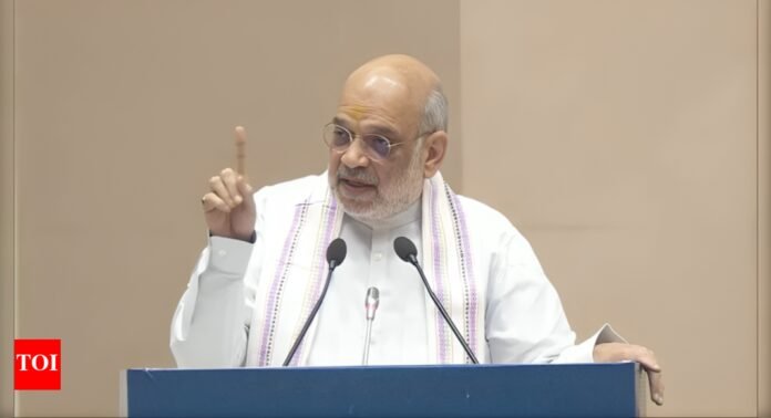 Punjab: Amit Shah assures CM Mann of support to flood-hit state | India News - The Times of India