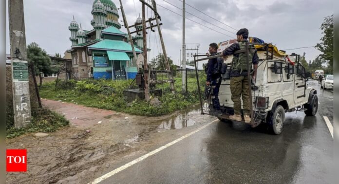 Search operation launched after suspected Pakistan drone spotted in J&K’s Samba | India News - The Times of India