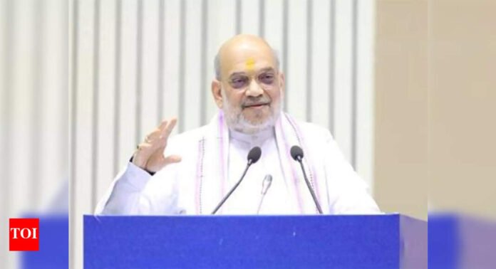 Amit Shah-led panel clears Rs 4,545cr disaster relief projects for 9 states | India News - The Times of India