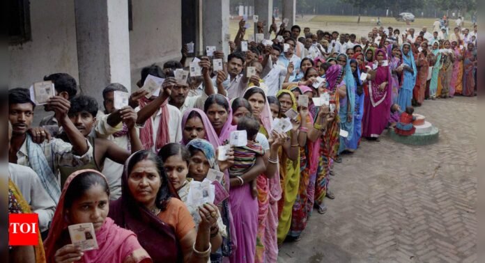 Bihar elections 2025: Polling to be held in two phases from Nov 6; counting of votes on Nov 14 | India News - The Times of India