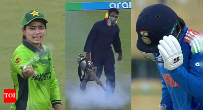 Bugs attack! India-Pakistan match paused momentarily for bizarre reason - watch | Cricket News - The Times of India