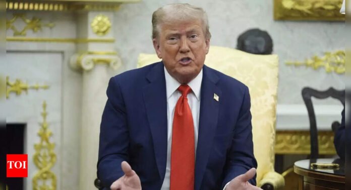 Civil unrest in Dem cities as libs accuse Donald Trump's 'gestapo' of running amuck - The Times of India