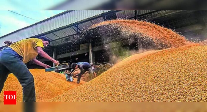 Govt hikes MSP for six rabi crops: Wheat to see most gain; mustard to see 93% rise | India News - The Times of India