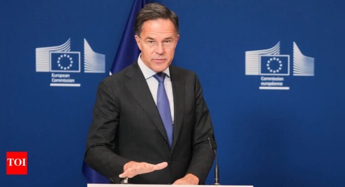 How has Mark Rutte navigated his first year as Nato head? - The Times of India
