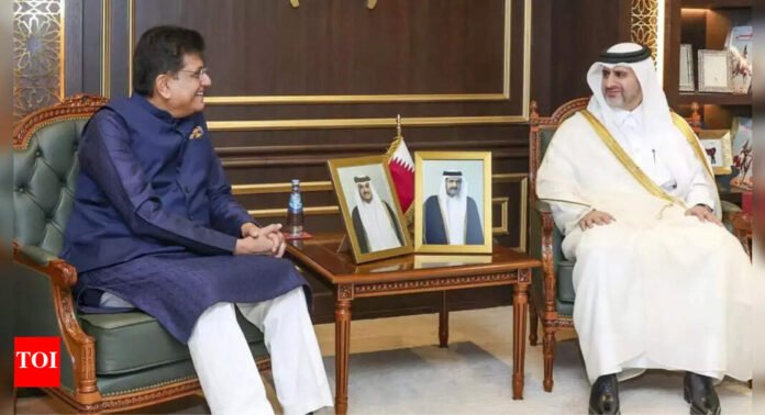 India-Qatar trade deal by Q3 next year: Piyush Goyal - The Times of India