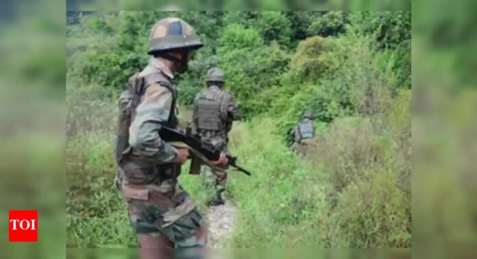 Soldier injured in accidental firing in Rajouri | India News - The Times of India